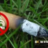 Smoking is Injurious for Nature, Ruin Of  Mankind